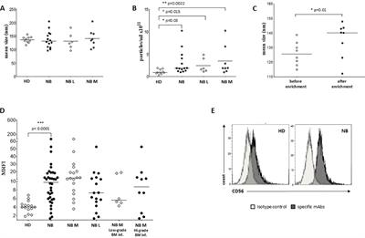 Immunomodulatory properties of extracellular vesicles isolated from bone marrow of patients with neuroblastoma: role of PD-L1 and HLA-G